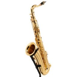 Yanagisawa T-WO10 Elite Tenor Sax