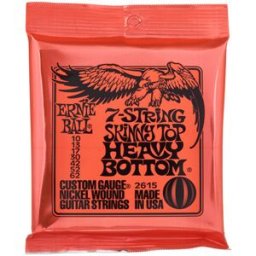 Ernie Ball 2615 Skinny Top Heavy 7