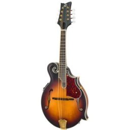 Ortega RMFE100AVO Antique Violin Oiled