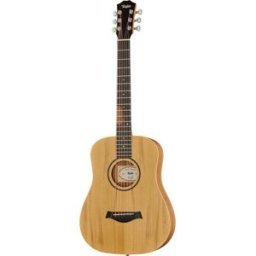 Taylor BT1e Baby Walnut Natural