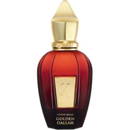 Xerjoff Agua de perfume Coffee Break Golden Dallah 50mL