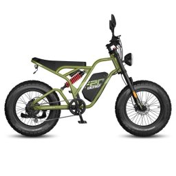 Bicicleta Eléctrica Fafrees F20 Ultra Motor 750W Batería 48V 25Ah Suspensión Completa Verde