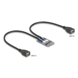 Adaptador Mini PCI Express Delock 64346 2x USB 2.0 Full Profile