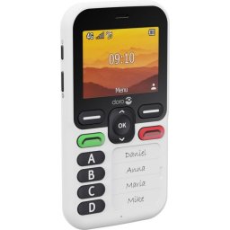 Móvil básico Doro Leva X10 SIM única 2,4" 4G 2 MP Grafito