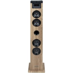 Thomson DS122CD Torre de Sonido Bluetooth con Reproductor de CD 60 W Madera