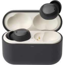 Final Auriculares True Wireless ZE500 for ASMR. Gris oscuro