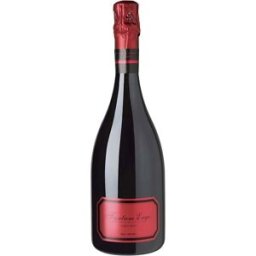Tantum Ergo Cava pinot noir barrica 2022.