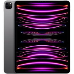 Apple iPad Pro 12,9' (2022) Wi-Fi (6ª Gen) (Reacondicionado Casi a estrenar). (2 TB + 16 GB RAM) Gris espacial