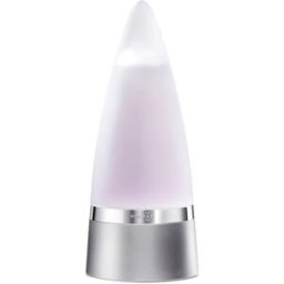 Rochas Eau de Toilette Man. (100 ml)