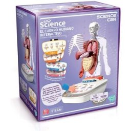 CANAL SCIENCE Cuerpo Humano Vozpedia .
