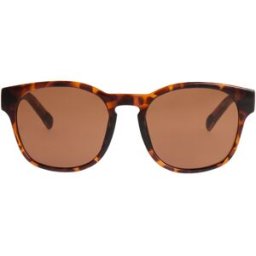 Quiksilver Gafas de sol de hombre Patrol . Marrón