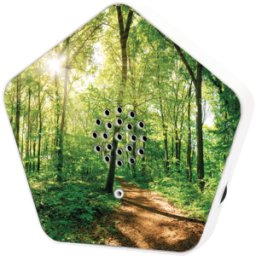 OLYMPIA 8001 - Terapia de sonido, altavoces con sonidos naturales