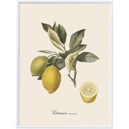 - Pack Lámina Limones The Dybahl + Marco Nuestro Mejor Precio El Corte Inglés. Blanco