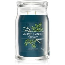 Bayside Cedar Vela Perfumada Signature 567 G