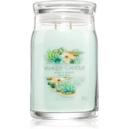 Aloe & Agave Vela Perfumada 567 G