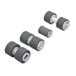 Kit de montaje de rodillo Epson WorkForce DS-860 Gris 1 pieza