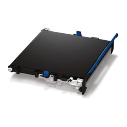 Correa para impresora OKI Negro 80000 páginas C822/831/841 1 unidad