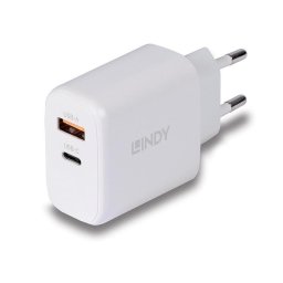 Cargador Lindy 73428 65W USB-C y USB-A Carga Rápida Power Delivery