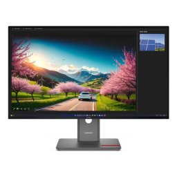 Monitor Lenovo ThinkVision P32UD-40 31,5" UltraHD 4K 120Hz IPS Thunderbolt 4 Ajuste altura
