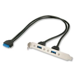 Cable USB Interno Lindy 33096 0,4 m USB 3.2 Gen 1