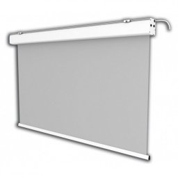 Celexon Expert Pantalla de Proyección Eléctrica 200x200cm
