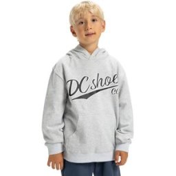 DC Shoes Sudadera de niños Substitute . (10 años) Gris claro