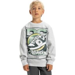 DC Shoes Sudadera de niños Manteca Tribute . (12 años) Gris