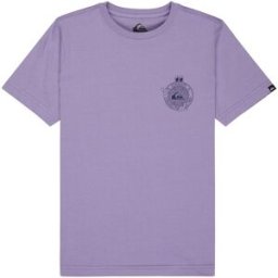 Quiksilver Camiseta de niños Street Echo . (14 años) Morado