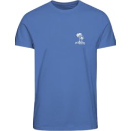 CAMISETA JACK&JONES JORAFA JUNIOR