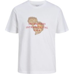 CAMISETA JACK&JONES JORMONTAUK HOMBRE