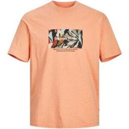 CAMISETA JACK&JONES JORSEQUOIA HOMBRE