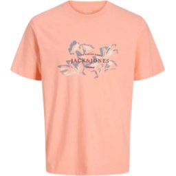 CAMISETA JACK&JONES JORMONTAUK HOMBRE