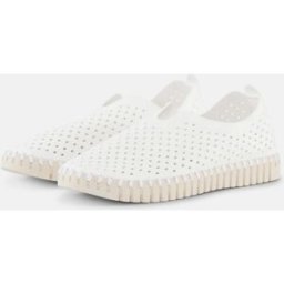 ZAPATILLA ILSE JACOBSEN TULIP 3277 MUJER