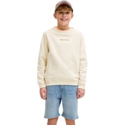 BERMUDA JACK&JONES JJIRICK JUNIOR