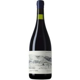 Zuccardi Un lugar de los Andes Pinot Noir 2021 75cl - Vino tinto Mendoza