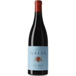 Vino Galia Le Petit 2019 de El Regajal - Vino tinto español 14% vol.