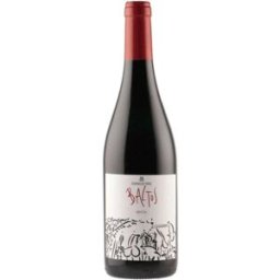 Vino Tinto Baltos 2022 D.O. Bierzo 75 cl - Dominio de Tares