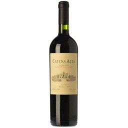Bodega Catena Zapata Catena Alta Cabernet Sauvignon 2020 - Vino Tinto Mendoza 75 cl