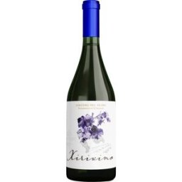 Xirivino Tinto 2024 D.O. Costers del Segre 75 cl - Mas d'en Roy