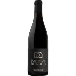 Vino Dominio de Adrada 2022 - Tinto español 14,00% - 75 cl