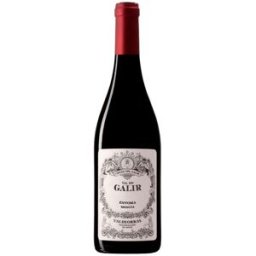 Val do Galir Mencía 2023 Tinto D.O. Valdeorras 75 cl. - Bodegas Virgen del Galir