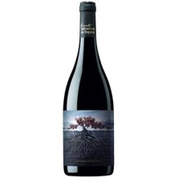 Proyecto Garnachas La Garnacha Perdida del Pirineo 2021 - Vino Tinto 75 cl. Denominación de Origen: España
