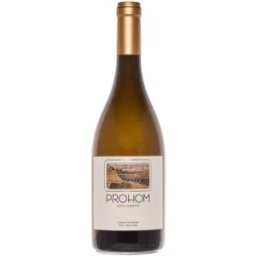 Vino blanco Prohom Experientia Blanc 2024 - Celler Coma d'en Bonet, España