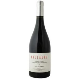 Bodega Rafael Cambra Rafael Cambra Mallaura Tinto 2024 - Vino español de alta calidad con graduación de 13,00