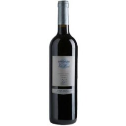 Celler Vall Llach Embruix 2023 Vall Llach Vino Tinto 15,00% - España