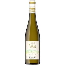 Llopart Vitis 2025 - Vino espumoso de calidad premium de España