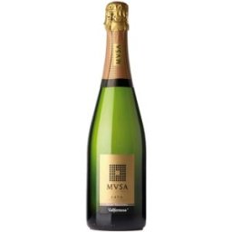 Vallformosa MVSA Brut Nature - Cava Español con 11,50% de Graduación