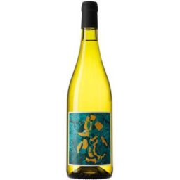 Vino Blanco Oller del Mas Les Parcelles 2023 - Fresco y Aromático de España