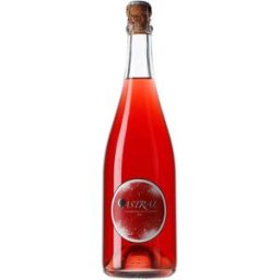 Astral L'Ancestral de Planetes 2022 Espumoso 75 cl - Família Nin-Ortiz España