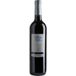 Embruix Magnum 2022 - Vino tinto premium de Celler Vall Llach, España